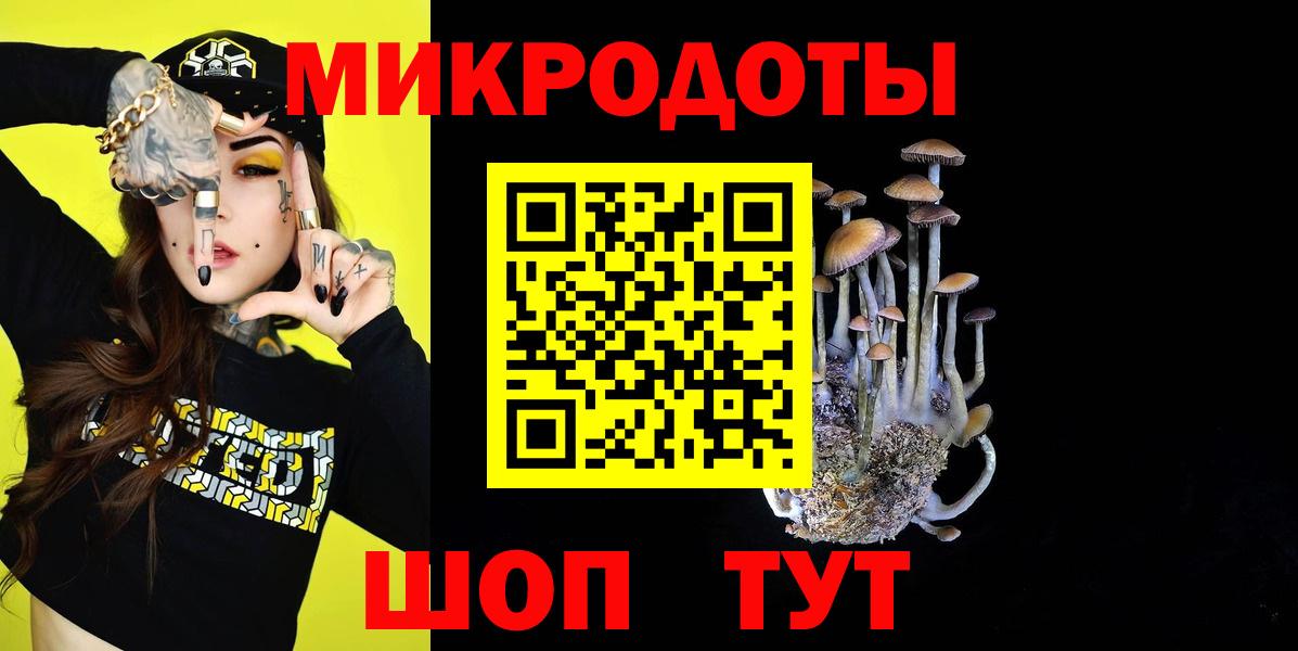 Галлюциногенные грибы Psilocybine cubensis Лабытнанги